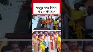 चंद्रपुर नगर निगम में BJP की जीत #shortsvideo #viral #chandrapur #election #bjp #aajtak