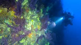 Sant&rsquo;Angelo #ansdivingischia #apnea #immersione #diving #snorkeling #aenaria #sitoarcheologico