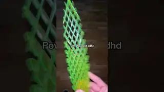 Best fidget toy 2024❤️🐛