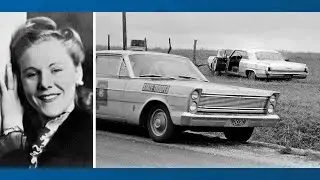 Vintage blue and gold license plates honor Detroit woman that died fighting for civil rights