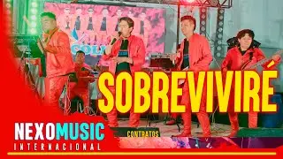 Internacional Colibri - SOBREVIVIR&Eacute; 🚀 Nexo Music ❤️