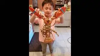Mi g&oacute;i t&ocirc;m h&ugrave;m 🍲
