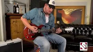 Bassart D Cat The Red Aged
