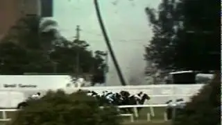 Politician 1978 Durban July