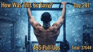 Pull-Up World Record Day 241 - 495 Pull-Ups |