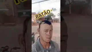 Rat&atilde;o de Recife #videoengra&ccedil;ado #humor #bregafunk #comedy #bregaderecife