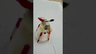 Scribbling Robot