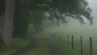 Hozier - Like Real People Do (dreamy version + chuva 💧)