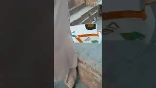 12tawa kite flying basanat lohr 2017