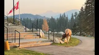 Aquatera's Contracted Communities - Jasper