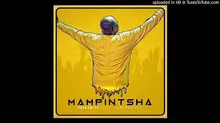 Mampintsha    Phakamisa official Audio(Ntokzin)