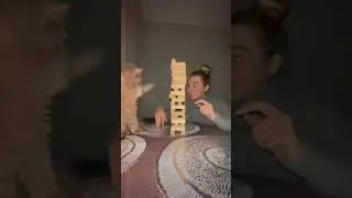 Hilarious cat asserts his turn during Jenga