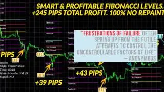 Fibo Quantum Review 2023 + 30% Discount Below