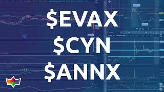 $BTTX $BWV $SOPA Stock Market Recap