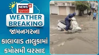 Jamnagar Weather Update | જામનગરના કાલાવાડ તાલુકામાં કમોસમી વરસાદ | Unseasonal Rain | Rain Update