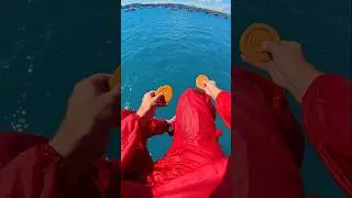 Give The Shark Squidgame