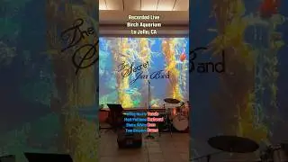 Secret Jazz Band - Between The Devil & The Deep Blue Sea, LIVE from the Birch Aquarium, La Jolla CA