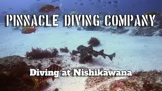 Diving at Nishikawana, Japan