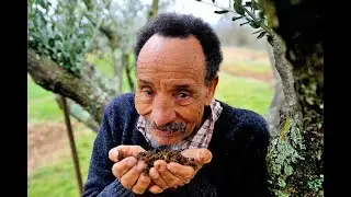 Hommage à Pierre Rabhi
