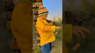 Lewanay Mosan La Yara | Pashto Songs | #pashtopoetry #pashtosong #mdkyousafzai