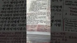 🌱asmr Random 랜덤 Bible Verse 성경구절 Reading 읽기 in Korean 한국어 & English 영어