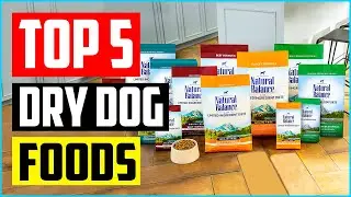 Top 5 Best Dry Dog Foods In 2022 Reviews