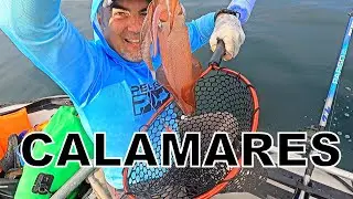 MIS PRIMEROS CALAMARES DESDE OZEAM 300 CONIL 1-10-2024