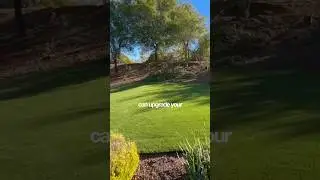 Think turf is out of your budget?