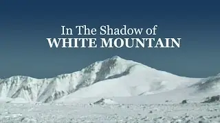 In the Shadow of White Mountain