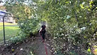 Day out tracking with Rheas K9