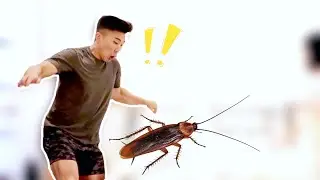 🪳COCKROACH🪳 PRANK ON MY BOYFRIEND *sorry babe*