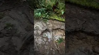 Devastation at Silver Falls after two Atmospheric Storms.