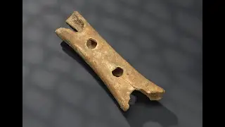 Neanderthal flute &ndash; the oldest musical instrument in the world
