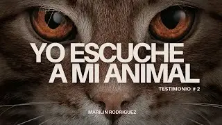 Yo escuché a mi animal #2 | Testimonio real de comunicación animal