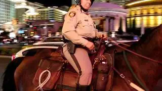 horses for the police