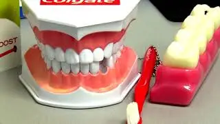Bronx Now: Hutchinson Metro Dental