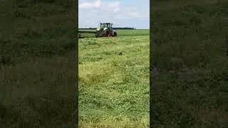 Class рвётся в долю... Оставляйте Ваши: Leave your: like👍 comment💬 subscribe❤️