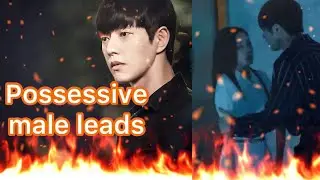 Top possessive strong male lead drama