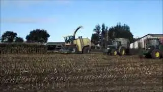 Ensilage maïs en Cotes d'Armor / Bretagne