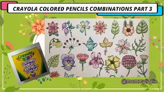 SMALL PROJECTS 3/4:  Crayola Color Combinations Sampler (Adult Coloring)