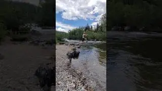 Для кого-то эта красота не имеет смысла, а кто-то я