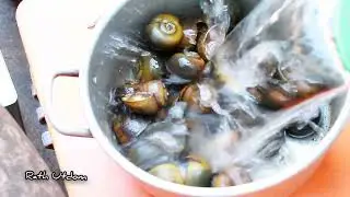 Steamed Snail recipes Countryside 