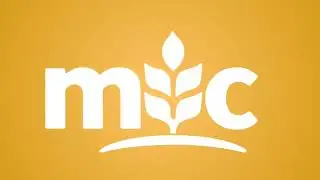 mc animation 01