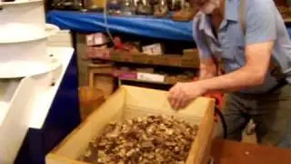 Nuts cracked with the Patriot 600 Nut Cracker.  Bill's home made cracked nuts sifting devise.