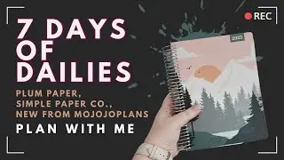 7 Days of Dailies Plan with Me + NEW from MojoJoJoPlans | Plum Paper & Simple Paper Co.
