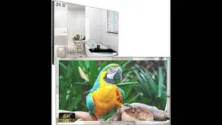 Bathroom & Kitchen Tech Upgrade: Soulaca 32