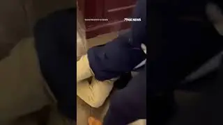 Senator McConnell falls after activist approaches him #fox #breakingnews #usa #senate