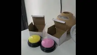 Recording button for puppies      Link:  