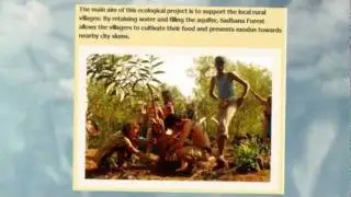 A Plea for Help for Sadhana Forest ( 