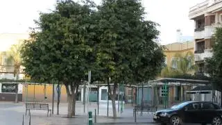 Beniel